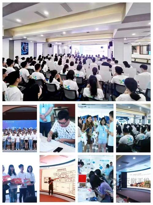 科技類營利性民辦培訓服務機構發展路徑與合規框架解析